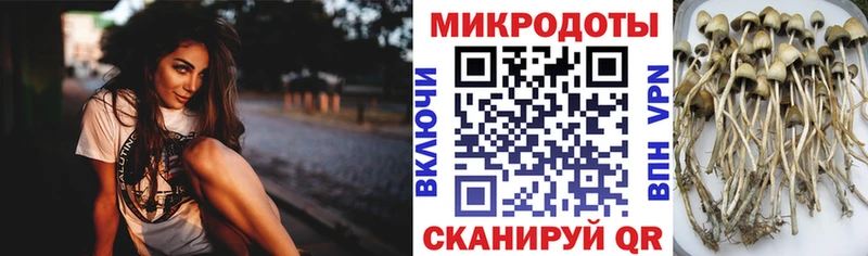 Галлюциногенные грибы MAGIC MUSHROOMS  Бородино 