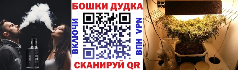 Шишки марихуана VHQ  Бородино 